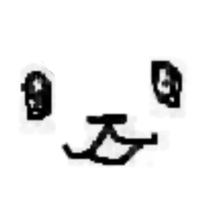 team member's avatar
